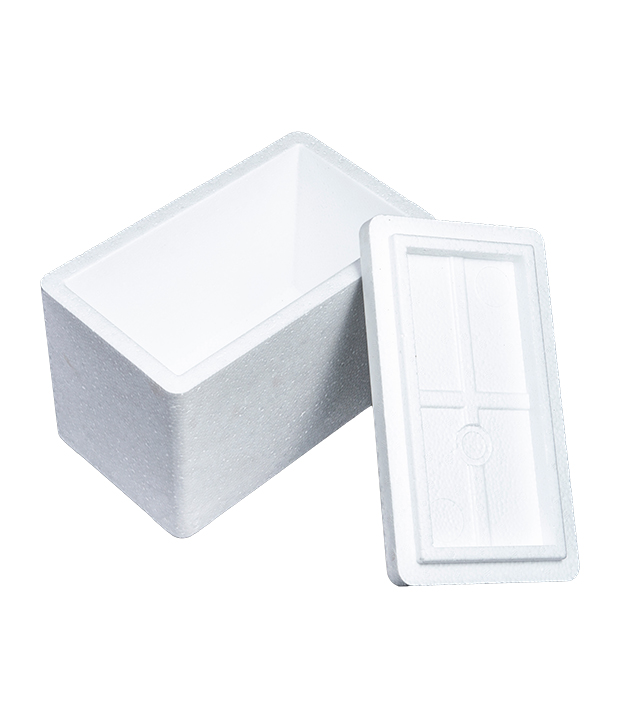 EPS Packaging Box