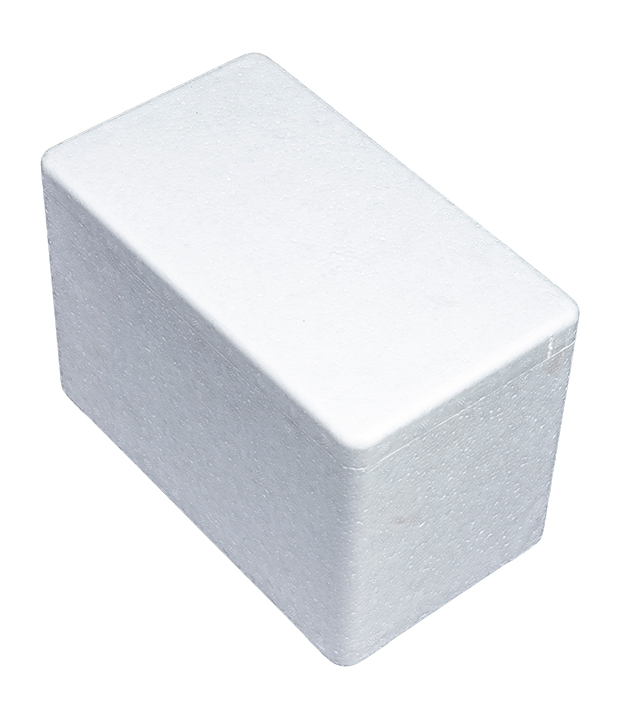 EPS Packaging Box