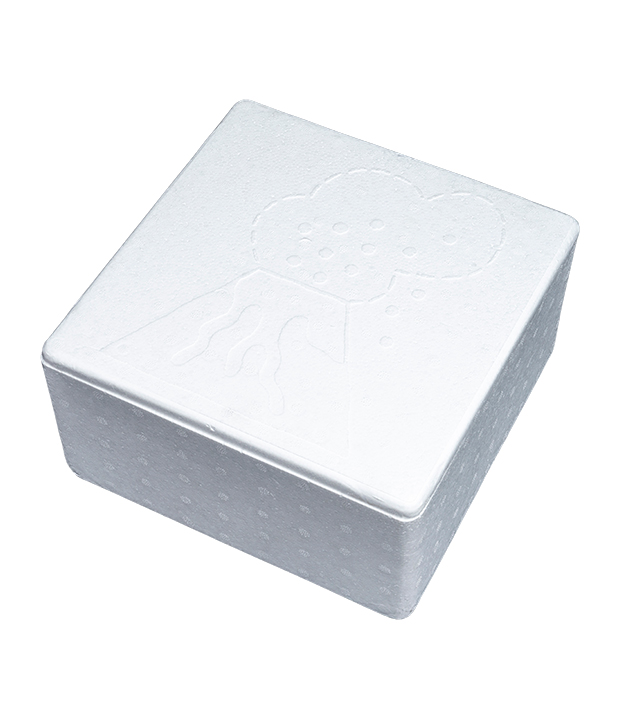 EPS Packaging Box