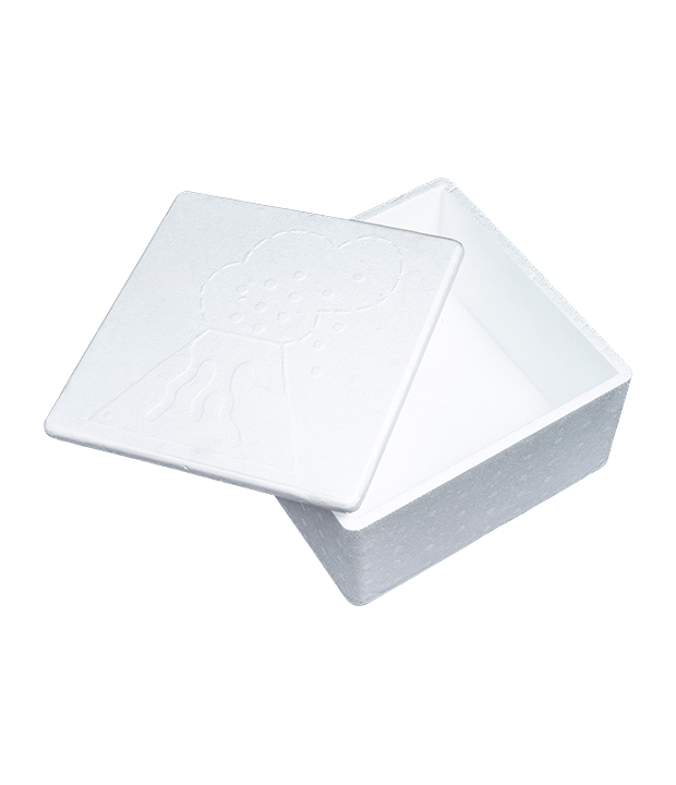 EPS Packaging Box
