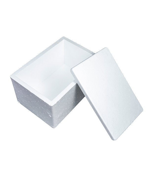 EPS Packaging Box
