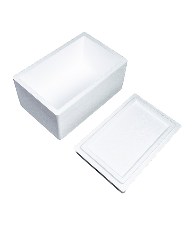 EPS Packaging Box